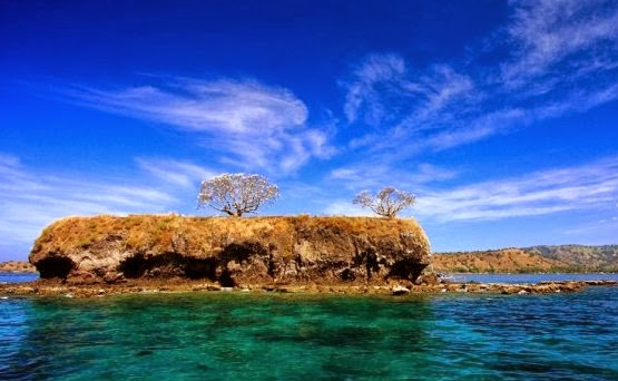 Pulau Ular Nusa Nipa