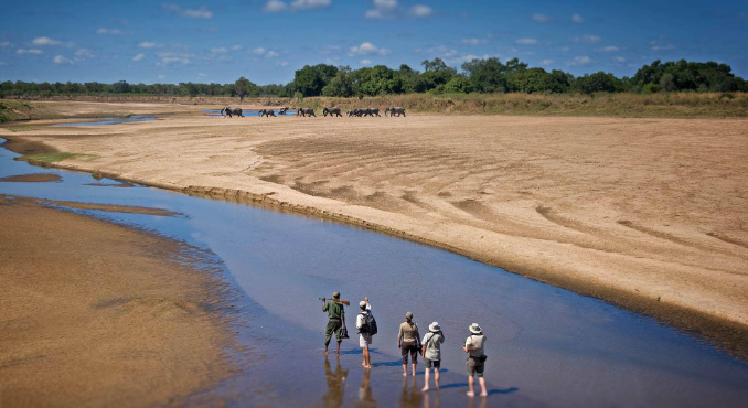 Taman Nasional South Luangwa